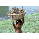 Toon afbeelding Kinderarbeid